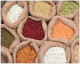 different kinds of seeds